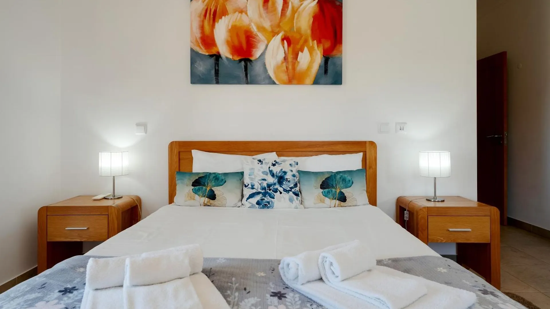Spacious Apartment With Huge Terrace And Swimming Pool Lagos 0*,